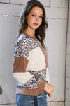 Wild Stitches Taupe Cable Knit Sweater